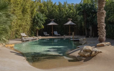 Réalisation d’une piscine lagon – Toulon