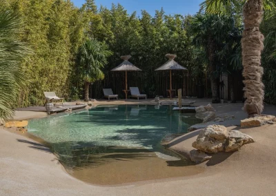Réalisation d’une piscine lagon – Toulon